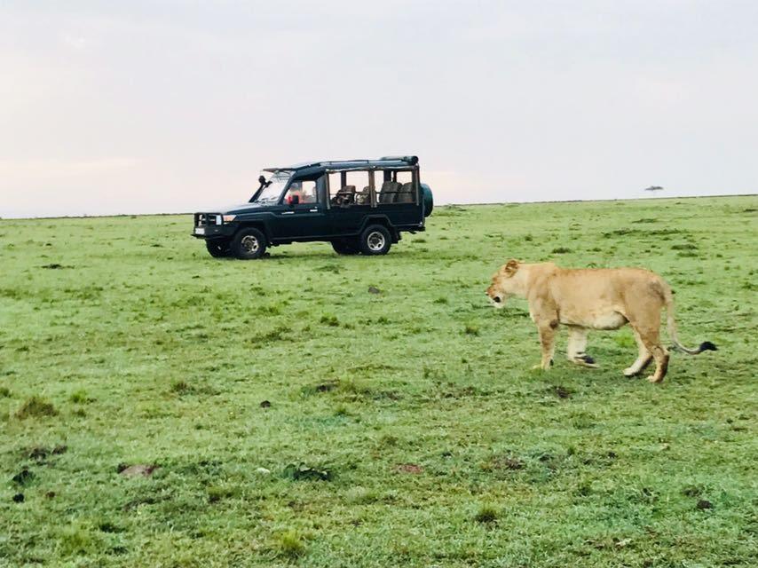 Royal Mara Safari Lodge Aitong Exterior foto