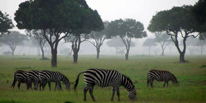 Royal Mara Safari Lodge Aitong Exterior foto